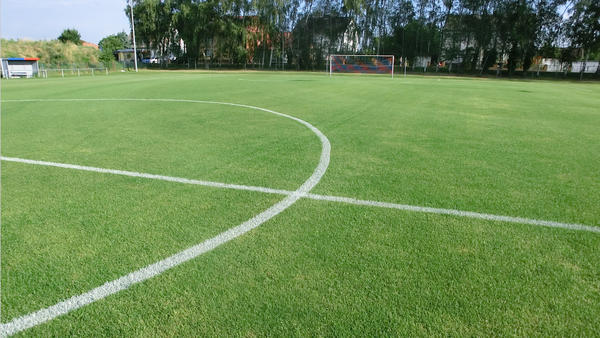 Rasenfläche mit weißen Linienmarkierungen (Mittelkreis), am Ende der Rasenfläche steht ein Tor