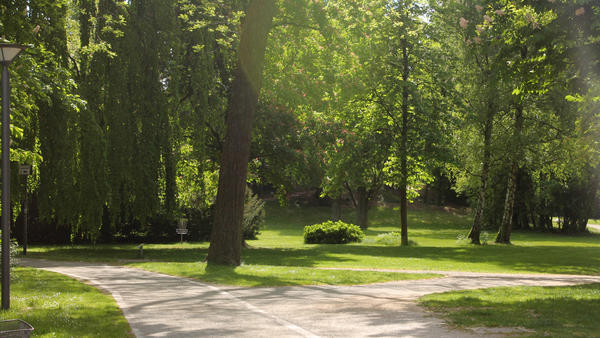 Blick auf eine Wiese auf der einige frisch belaubte Bäume stehen. Rechts und links verläuft ein Fußweg. Im Hintergrund ist ein Discgolf-Korb zu erkennen.