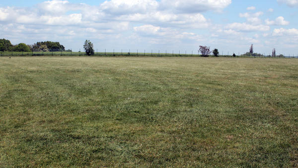Eine große grüne Graswiese, die im Hintergrund durch einen Zaun und wenige Bäume begrenzt ist. Ein wesentlichen Teil des Bildes wird durch einen Wolken-bedeckten Himmel eingenommen.