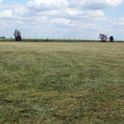 Eine große grüne Graswiese, die im Hintergrund durch einen Zaun und wenige Bäume begrenzt ist. Ein wesentlichen Teil des Bildes wird durch einen Wolken-bedeckten Himmel eingenommen.
