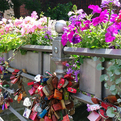 An einem Brückengeländer hängen viele Schlösser. Darüber sieht man bepflanzte Blumenkästen.