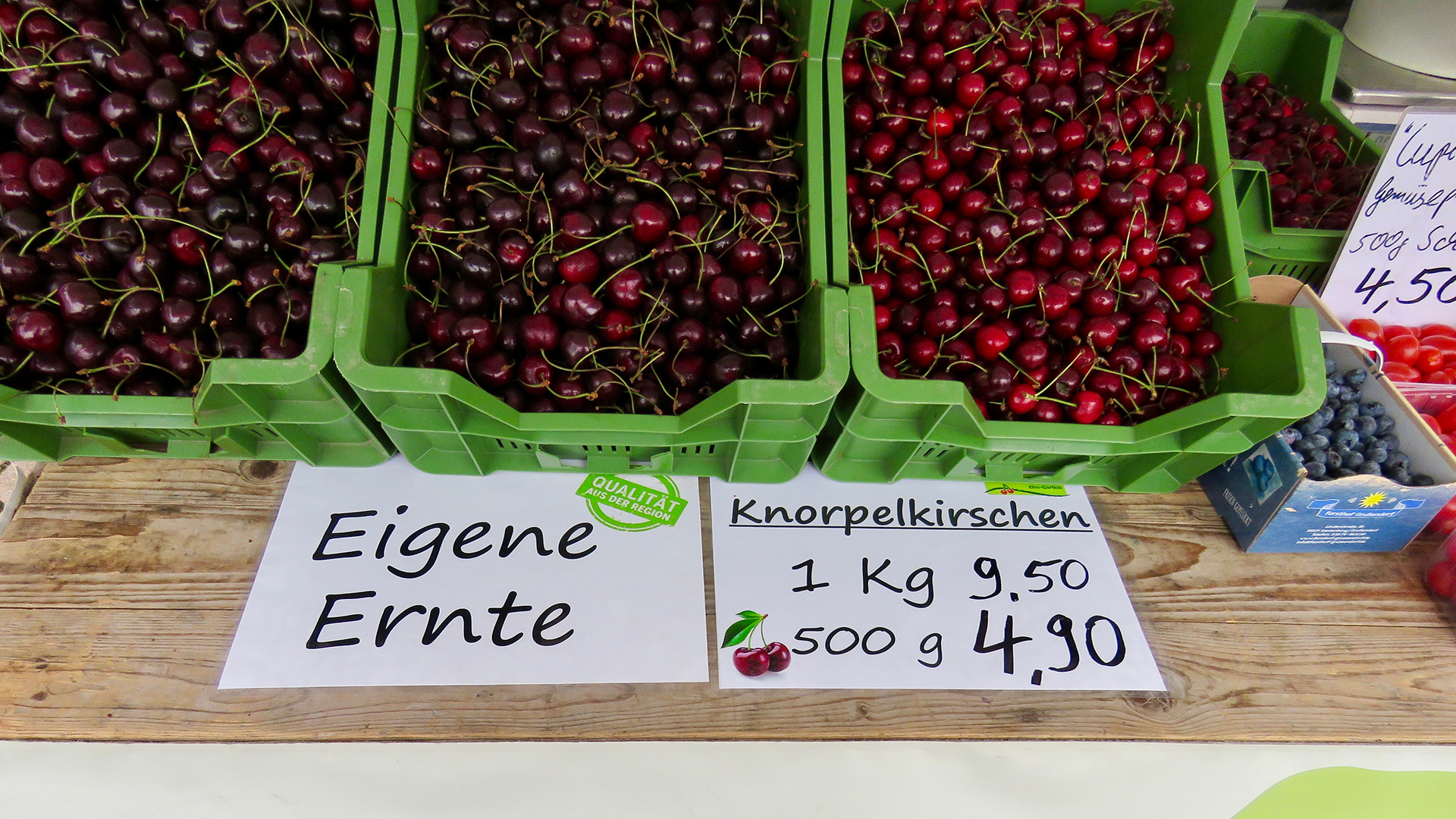 Knorpelkirschen von Krügers Elm-Gärtnerei