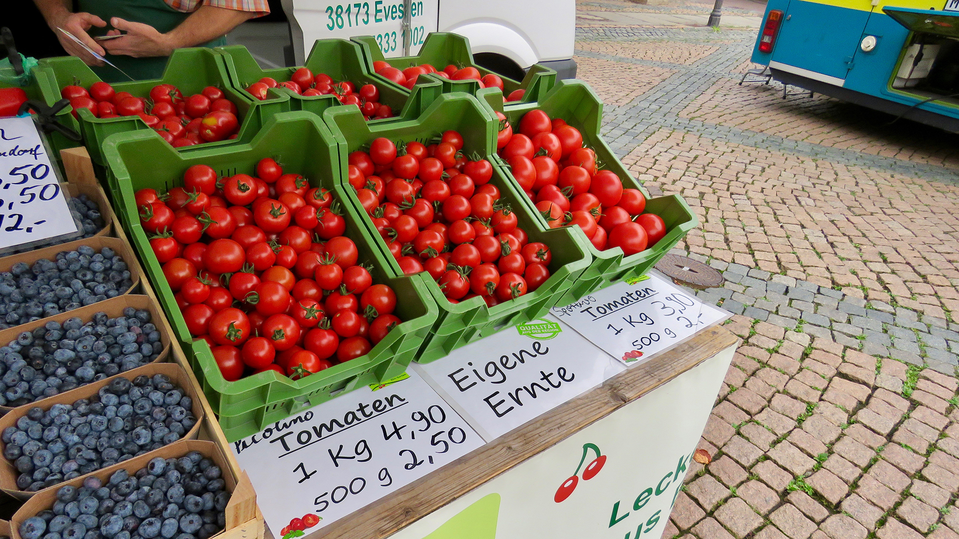 Im Mittelpunkt des Bildes stehen sechs grüne Kisten an einem Marktstand, die mit Tomaten gefüllt sind. Auf einem Schild darunter steht "Picolino Tomaten. Ein Kilogramm 4,79 Euro." Ein weiteres Schild trägt den Schriftzug "Eigene Ernte". Auf einem dritten Schild steht ebenfalls eine unleserliche Sorte "Tomaten. Ein Kilogramm 3,90 Euro. 500 Gramm 2 Euro".
