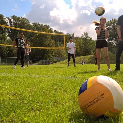 Auf einer Wiese spielen mehrere Personen Volleyball und stehen um ein gespanntes Volleyballnetz. Im Vordergrund liegt ein Volleyball auf dem Rasen.
