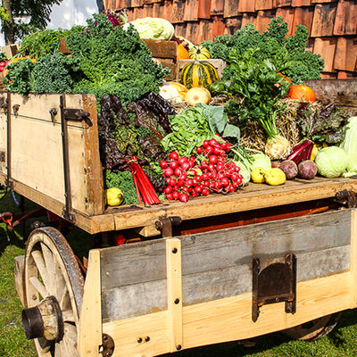 Auf einem alten Holzwagen liegen verschiedene Gemüse wie Kohl, Kürbis, Radieschen, Selerie, rote Beete