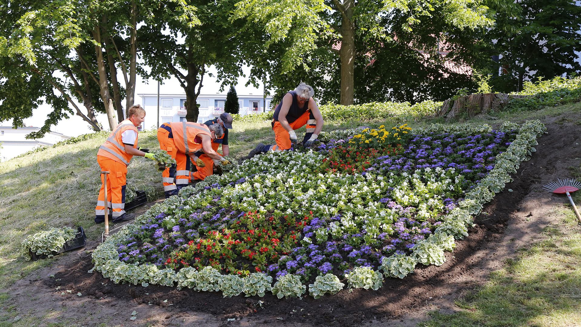 An einer Anhöhe werden auf einem Beet Blumen angepflanzt. Die verschiedenfarbigen Blüten zeigen das Stadtwappen Wolfenbüttels.