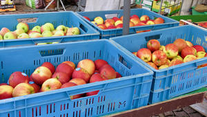 Auf einem Marktstand liegen verschiedene Äpfelsorten in blauen Kisten.