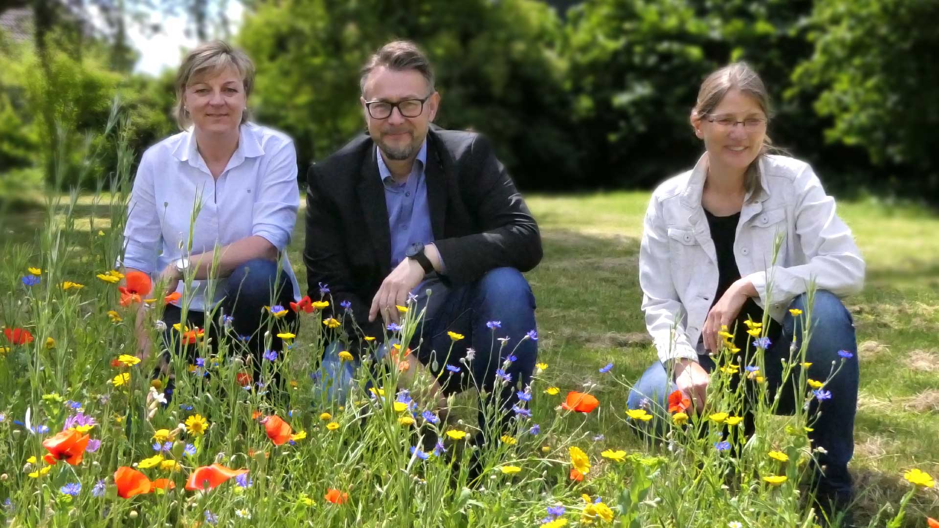 Eine Delegation der Stadt, Anja Hartlich (Grünflächen), Ivica Lukanic (Stadtbaurat) und Martina Münstermann-Kreifels (Stadtentwicklung und Umwelt), besichtigen im Waldenburger Park einen der neuen Blühstreifen.