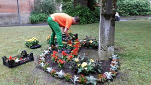 Ein Mitarbeiter der Stadt Wolfenbüttel bepflanzt ein Blumenbeet.