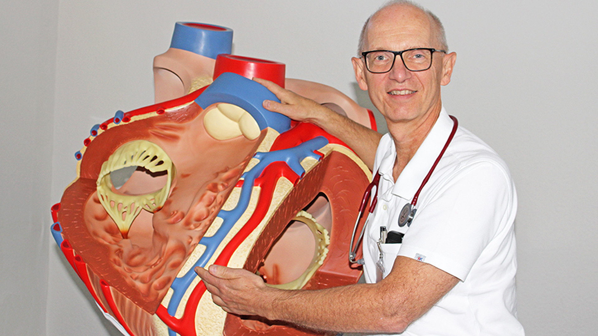Professor Dr. Hausmann steht neben einem überdimensional großem Kunststoffmodell eines Herzens. Man kann ins Herzinnere sehen.