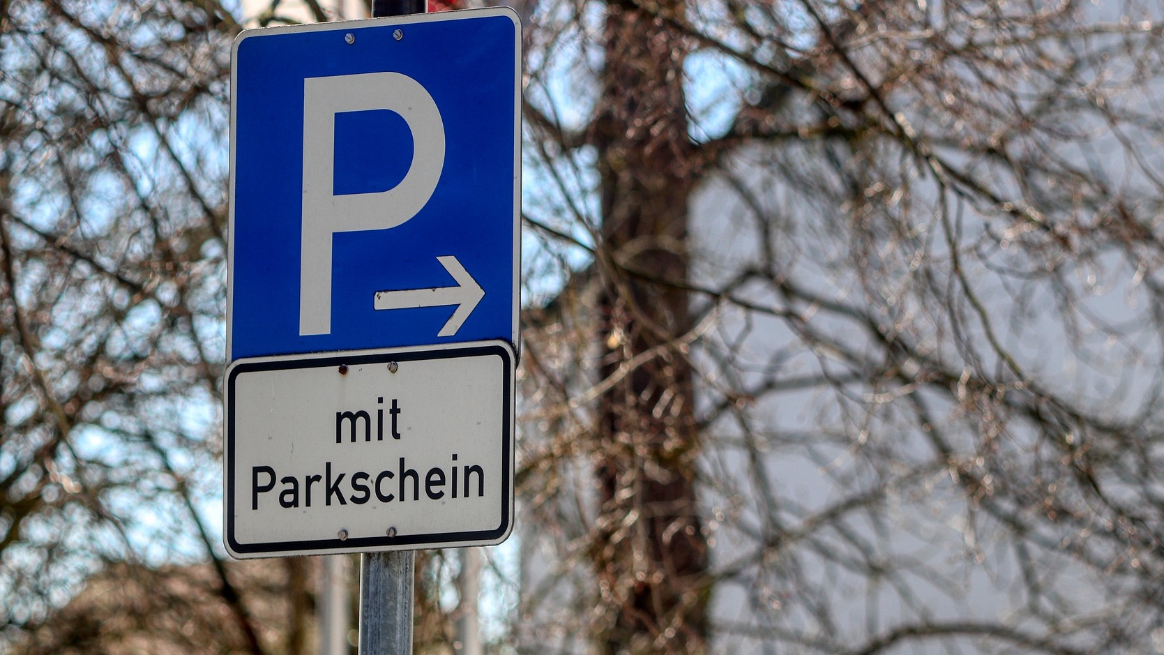 Man sieht ein Verkehrsschild für Parken (weißes P auf blauem Grund) mit dem Zusatzschild "mit Parkschein".