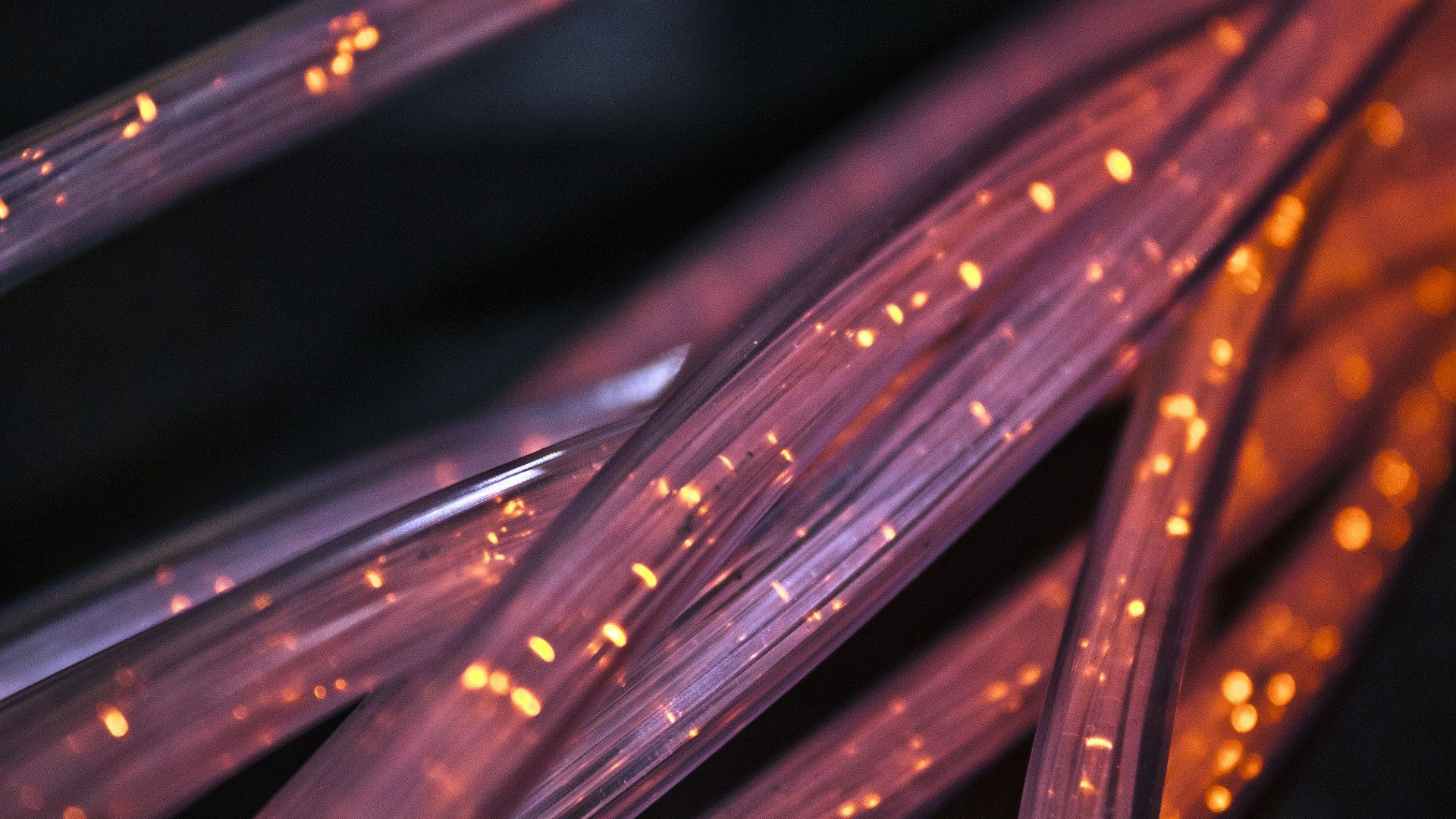 Ausschnitt: viele durchsichtige Glasfaserkabel mit Lichtpunkten liegen übereinander.