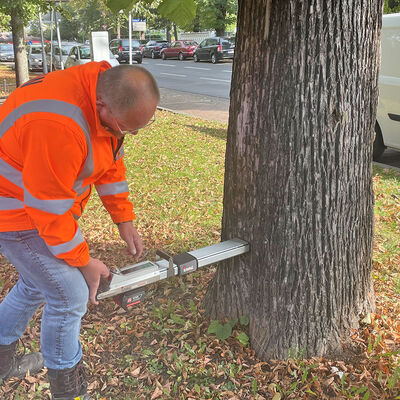 Ein Mann in oranger Arbeitsjacke steht neben einem Baum und hält ein Messgerät an den unteren Teil des Baumstammes.