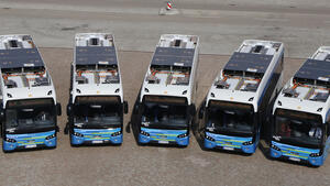 Fünf blau-weiße Busse stehen nebeneinander.
