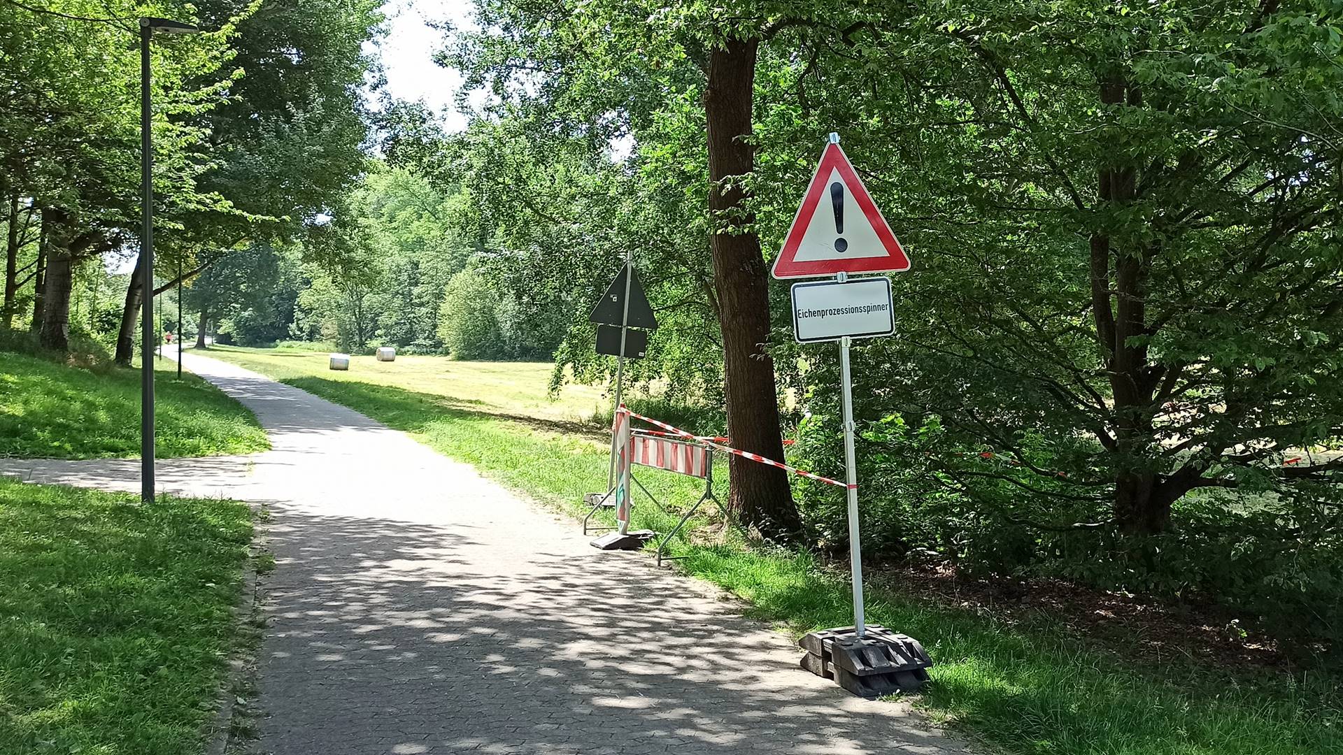An einem Fußweg neben einem Gebüsch steht ein Warnschild: "Achtung Eichenprozessionsspinner".