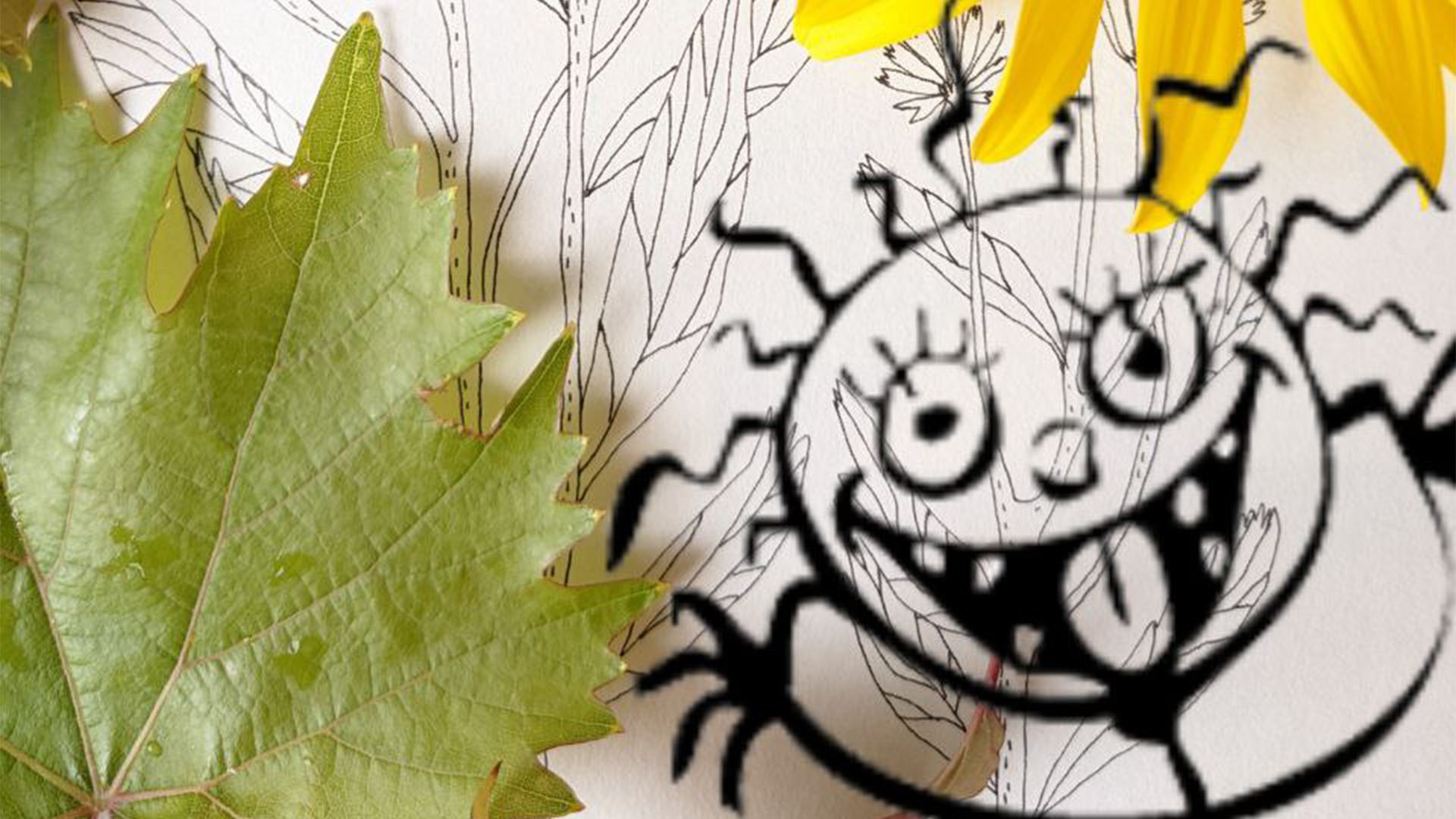 auf einem Blatt Papier mit einem gezeichnetem kleinem Monster liegt ein Ahornblatt.