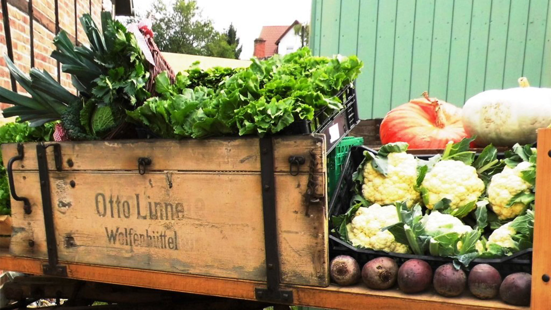 Auf einem alten großen Bollerwagen liegt Gemüse wie Salat, Kürbis, Blumenkohl, Rote Beete