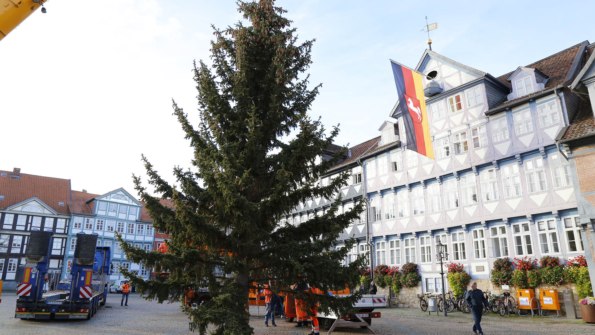 Eine große Tanne steht auf dem Stadtmarkt vor dem Wolfenbütteler Rathaus