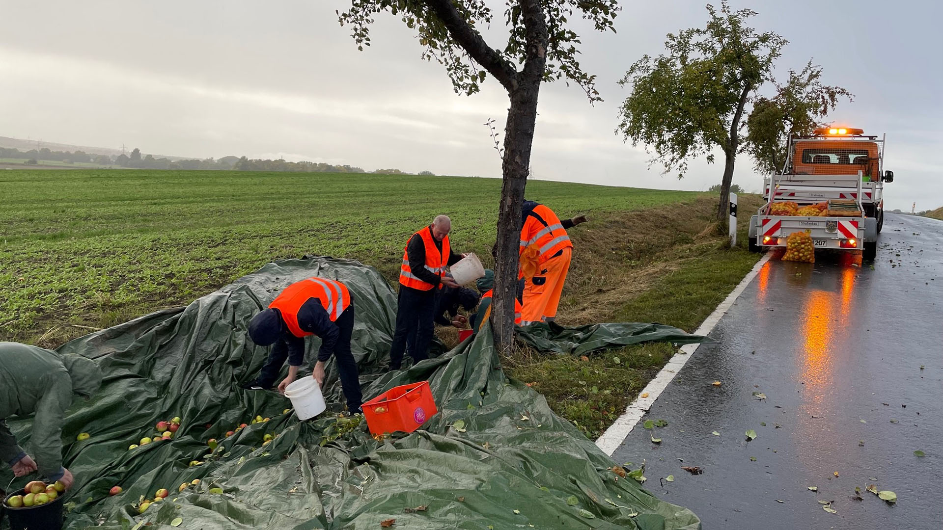 Drei Männer in orangen Warnwesten sammeln bei einem Baum am Straßenrand Äpfel auf. Im Hintergrund steht ein oranges Einsatzfahrzeug mit Anhänger, auf dem Apfelsäcke zu sehen sind.