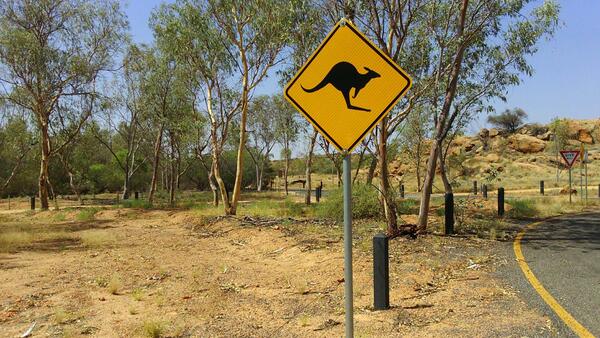 Neben einer Straße steht im australischen Buschland ein Verkehrsschild, das vor Kängeruhs warnt.