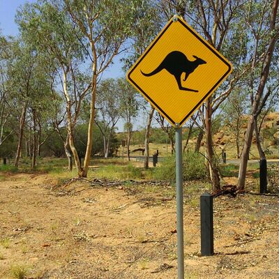 Neben einer Straße steht im australischen Buschland ein Verkehrsschild, das vor Kängeruhs warnt.
