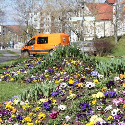 Angehäufte Erdkegel sind mit Blumen bepflanzt. Im Hintergrund steht ein orangenes Auto der Stadt Wolfenbüttel.