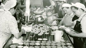 Industriearbeiterinnen im Jahr 1960 beim Spargeleinmachen in einer Wolfenbtteler Konservenfabrik. 